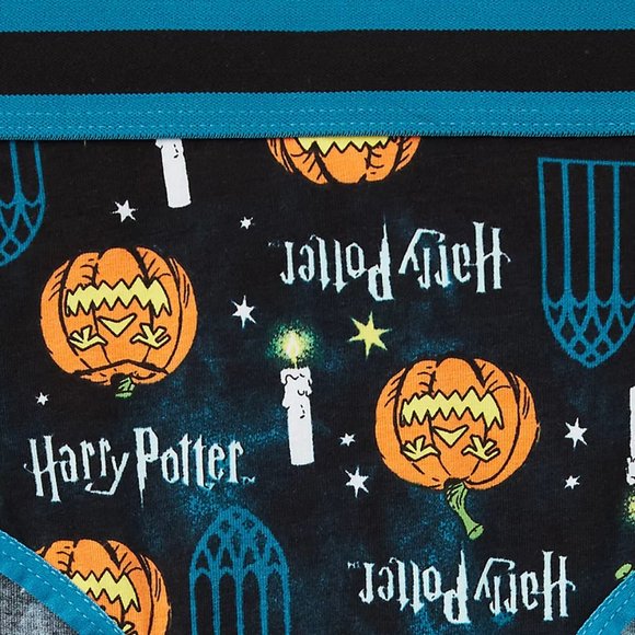 ❤️NWT VINTAGE TORRID PANTY HARRY POTTER PUMPKIN CANDLES HIPSTER - PLUS SIZE - Picture 2 of 12